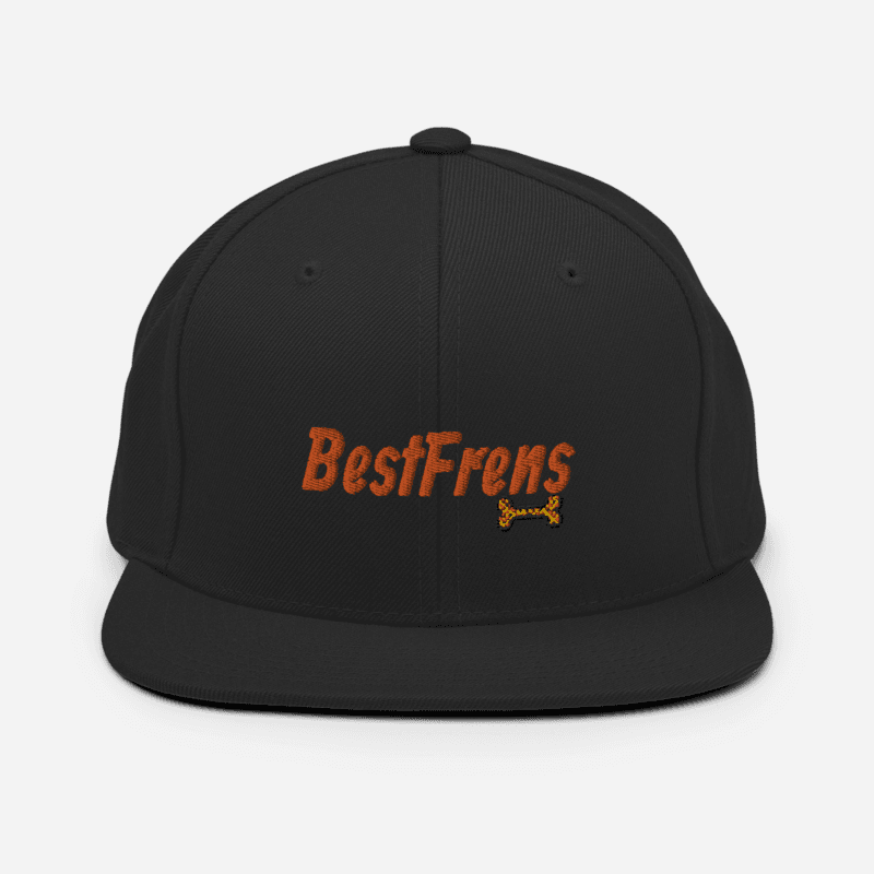 BestFrens Snapback Hat